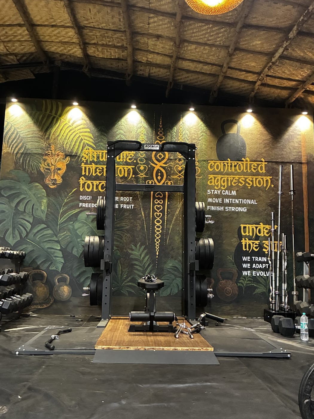 Strength wall and mural at Gaia Fit Lab after dark