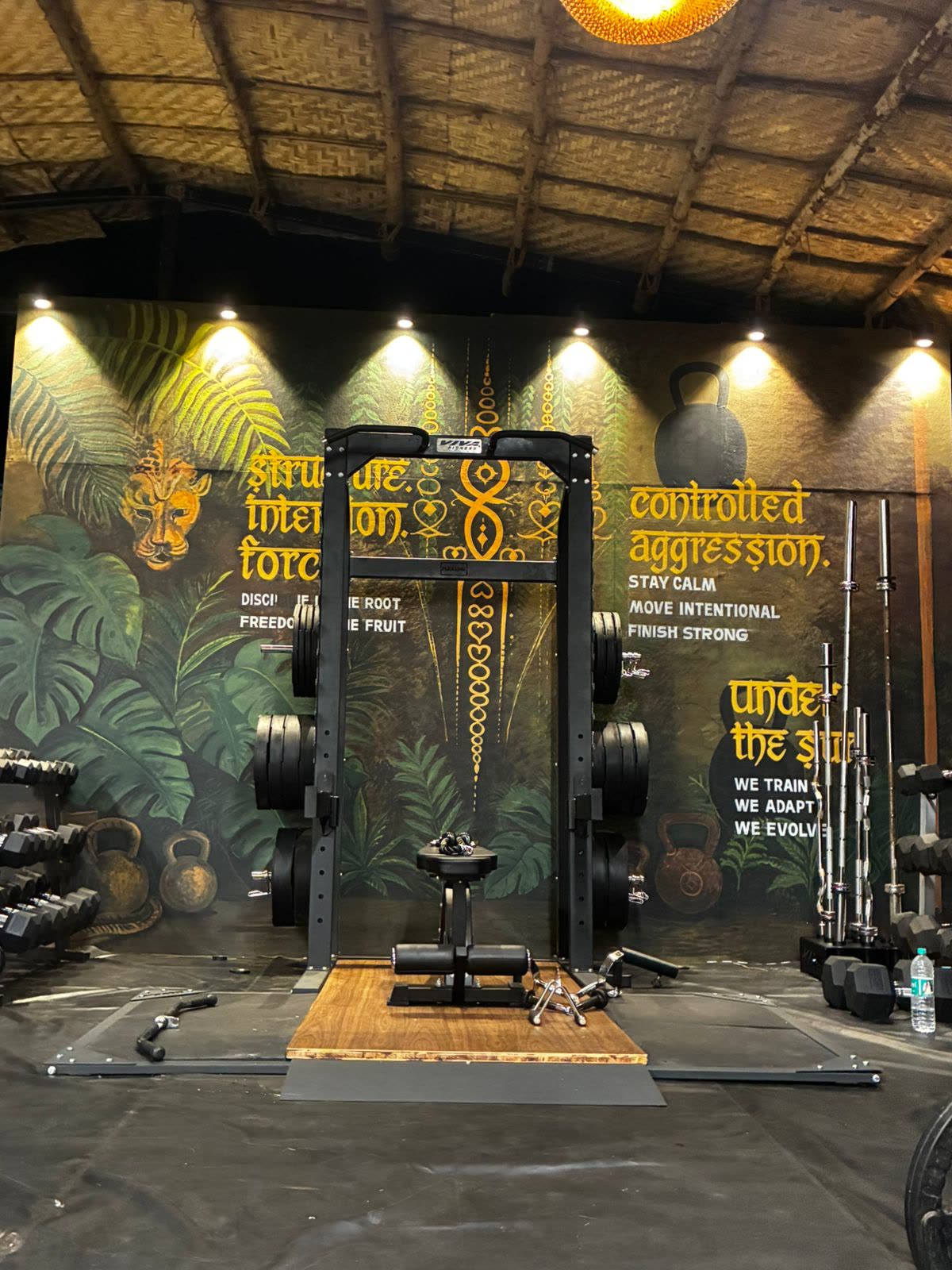 Strength racks and jungle mural at Gaia Fit Lab